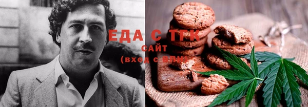 шишки Горнозаводск